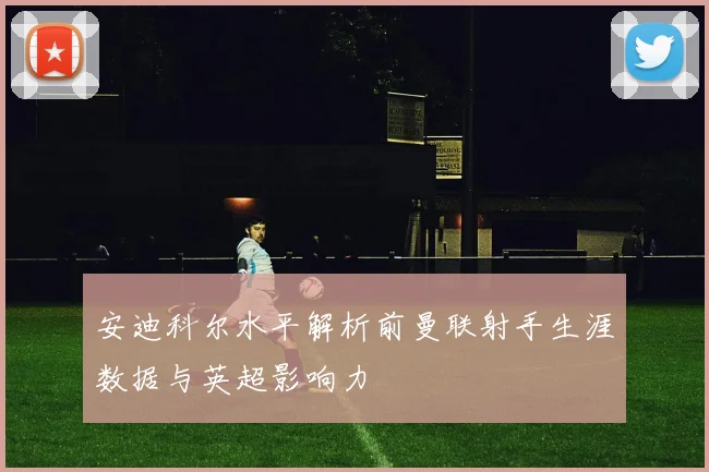 安迪科尔水平解析前曼联射手生涯数据与英超影响力